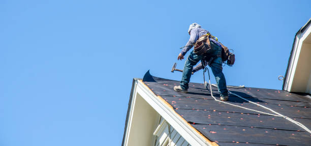 Best Commercial Roofing Services  in Kyle, SD